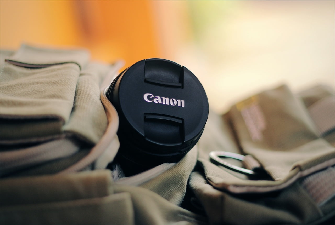 Top 10 Cameras for Beginners: Best Picks for 2024